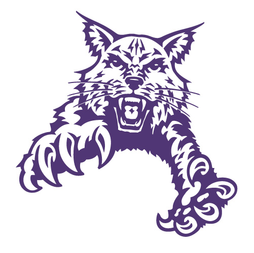 Abilene Christian Wildcats 1997-2012 Partial Logo T-shirts Iron